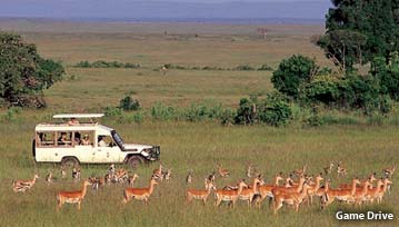 olonana_day-game-drive.jpg