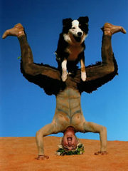 puck_withbonzer1.jpg